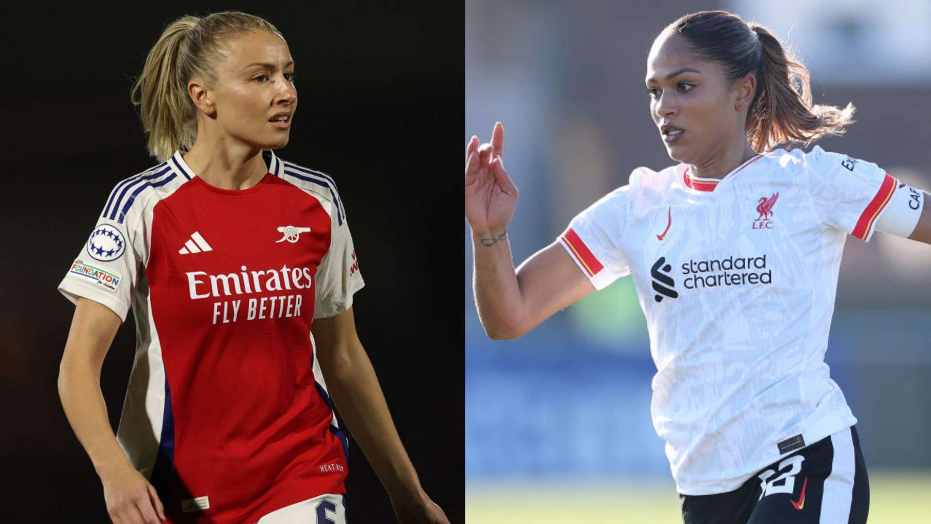 了他在世界 了他在世界