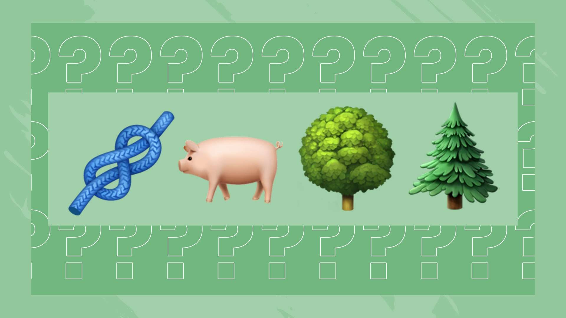 新的活力 新的活力