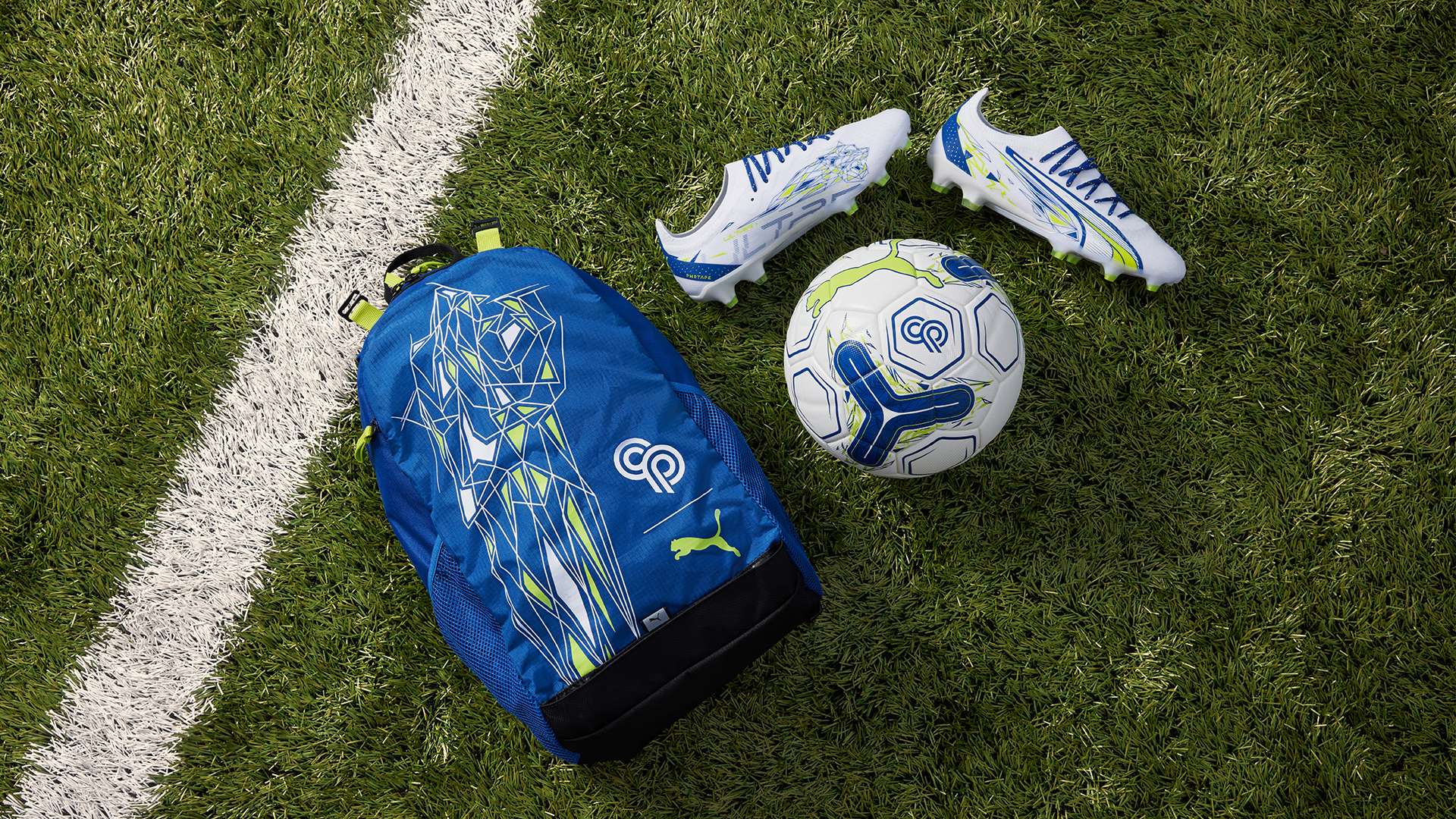 详细阵容 详细阵容