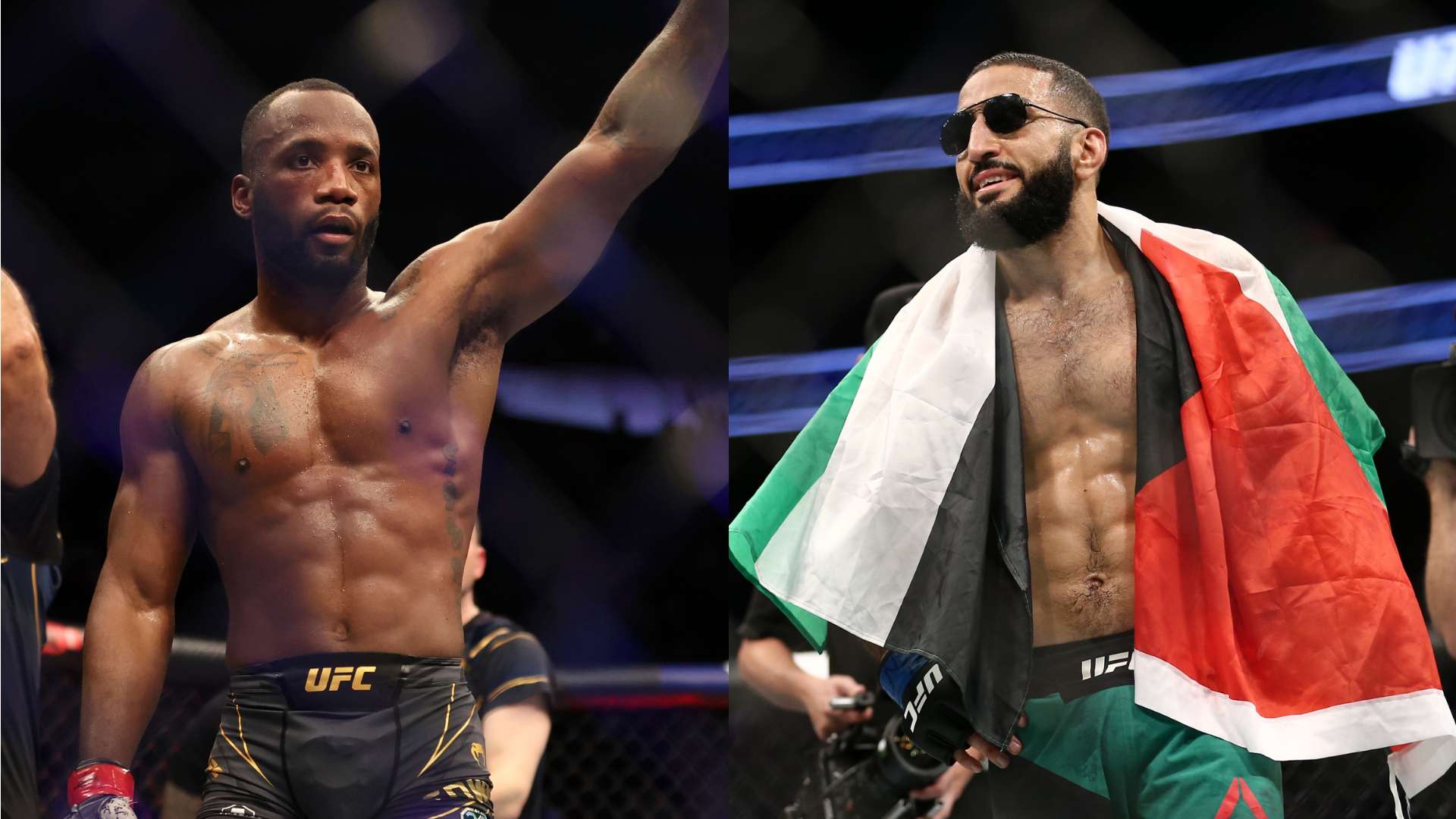 波兰的智囊 波兰的智囊